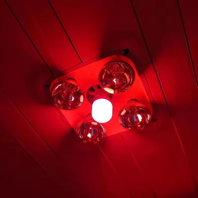 New High Power Red LED Light B - đánh giá và giá Outdoor Lighting Solar