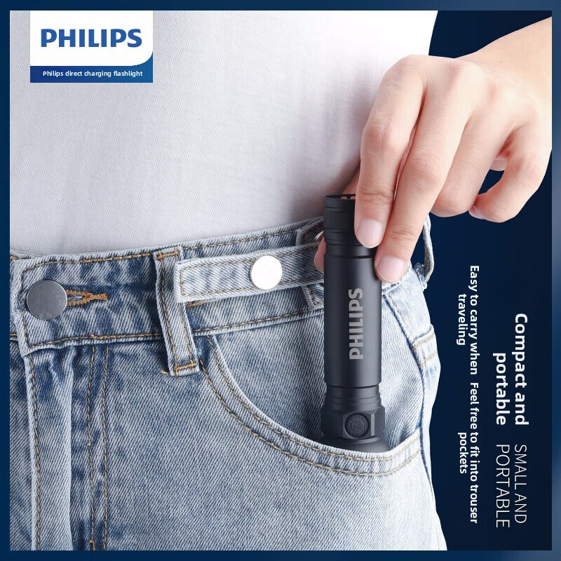 2025 NEW Philips SFL2188 LED A - đánh giá và giá Outdoor Lighting Panel